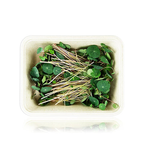 packed Microgreens "KapuzinerGreens", dark, very young leaves / sprouts, 50 g