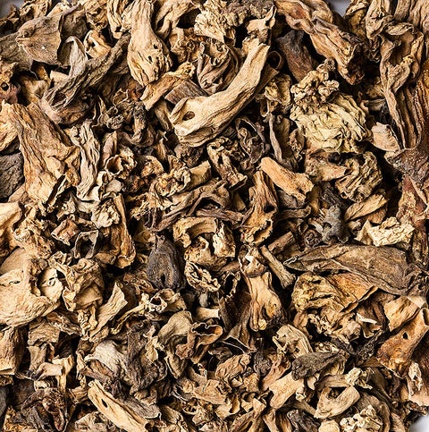 Morel fragments - stems only, dried, 1 kg