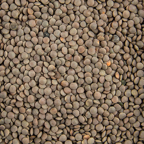 Lentils, brown, small, 5 kg