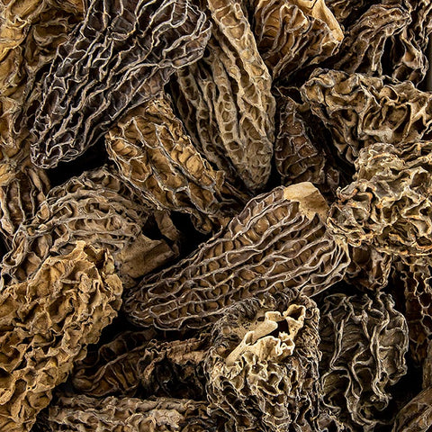 Jumbo morel heads, dried, 100 g