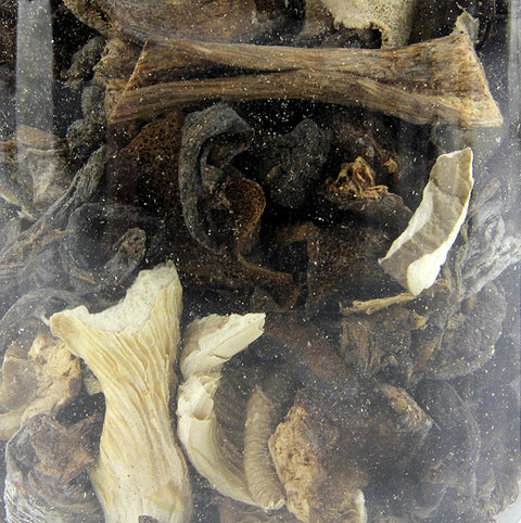 Mischpilze - Mélange Forestier, Plantin, 50 g