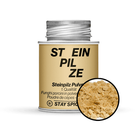 Steinpilz Pulver