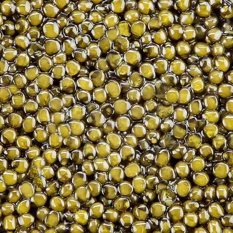 BOS FOOD Premium Selection - Ossetra (gueldenstaedtii), Aquakultur, ohne Konservierungsmittel, China, 50 g