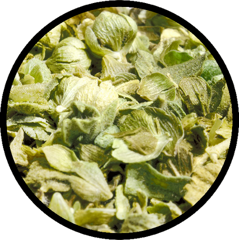 Oregano shredded - Turkish - wild cultivation