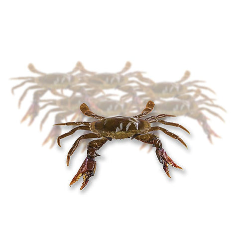 Soft Shell Mangroven Krabben, JUMBO, BW, TK, 1 kg
